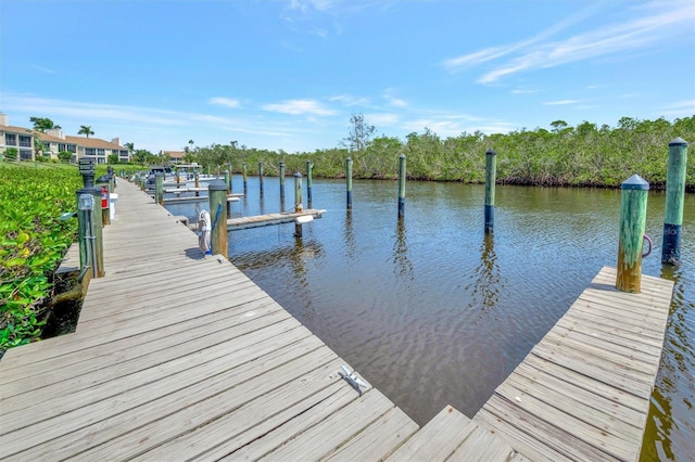8710 54th Ave W Unit 8710, Bradenton, FL 34210 - dock area with a water view