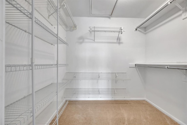 8710 54th Ave W Unit 8710, Bradenton, FL 34210 - spacious closet with carpet