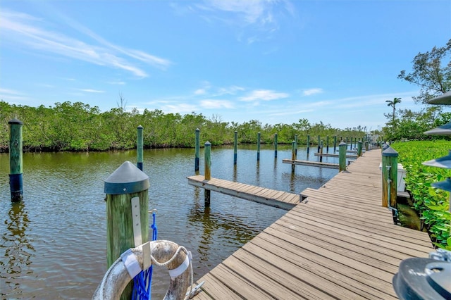8710 54th Ave W Unit 8710, Bradenton, FL 34210 - dock with a water view