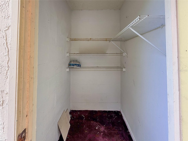 7500 40th Ave W Unit 108, Bradenton, FL 34209 - view of spacious closet