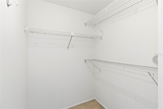 7500 40th Ave W Unit 108, Bradenton, FL 34209 - walk in closet with light carpet