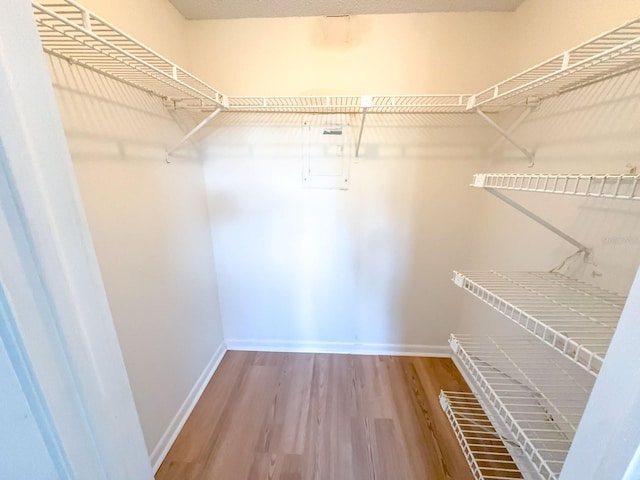 walk in closet with wood finished floors