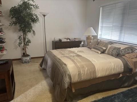 1212 Candlewood Dr, Lakeland, FL 33813 - view of carpeted bedroom