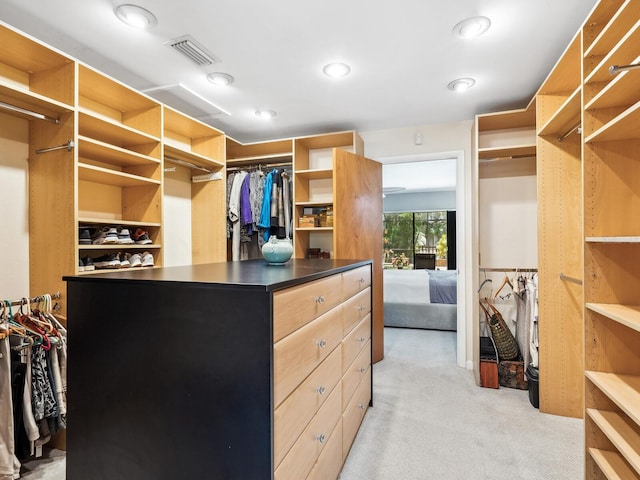3905 Country View Dr, Sarasota, FL 34233 - walk in closet featuring light colored carpet