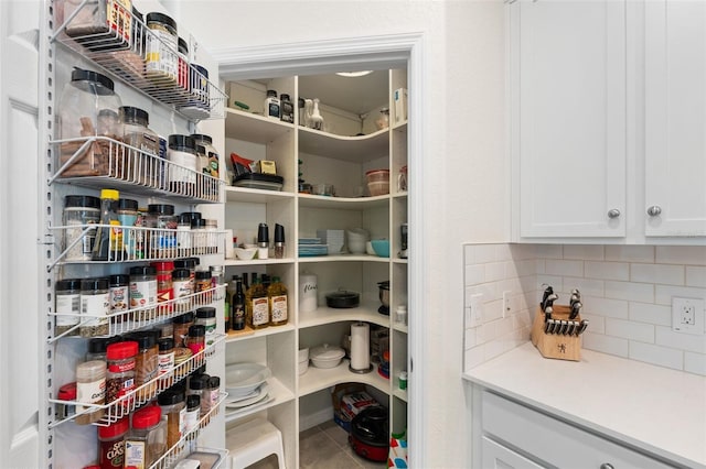 10820 Tarflower Dr Unit 202, Venice, FL 34293 - view of pantry