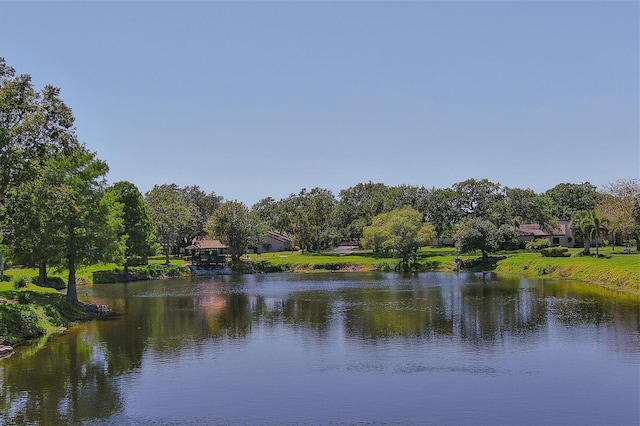 3919 Glen Oaks Manor Dr, Sarasota, FL 34232 - photo 53