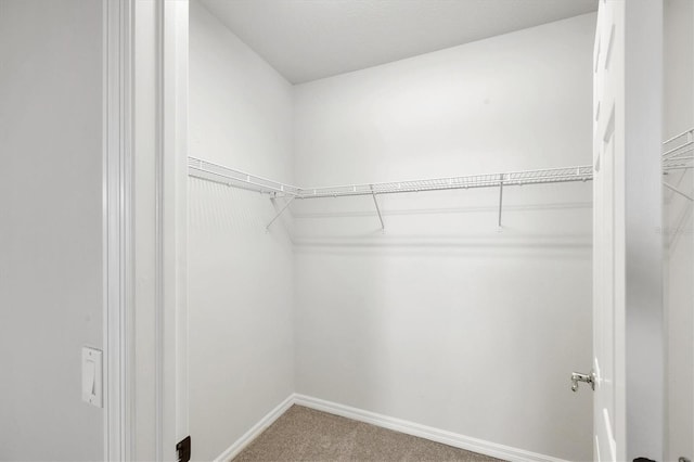 3760 82nd Avenue Cir E Unit 102, Sarasota, FL 34243 - spacious closet featuring carpet