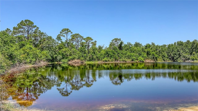4920 Woodhurst Dr, Sarasota, FL 34243 - water view with a forest