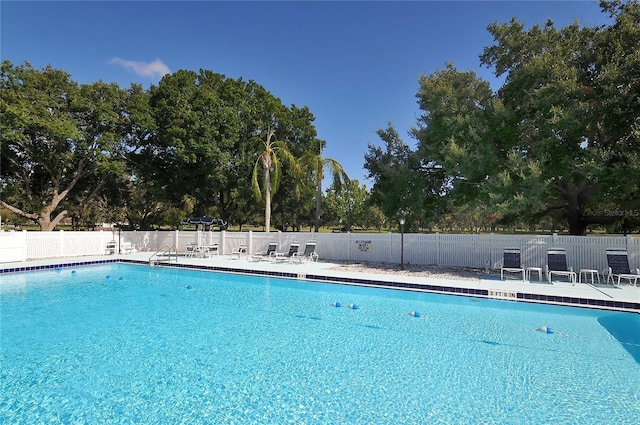 4920 Woodhurst Dr, Sarasota, FL 34243 - community pool with fence, view of scattered trees, and a patio