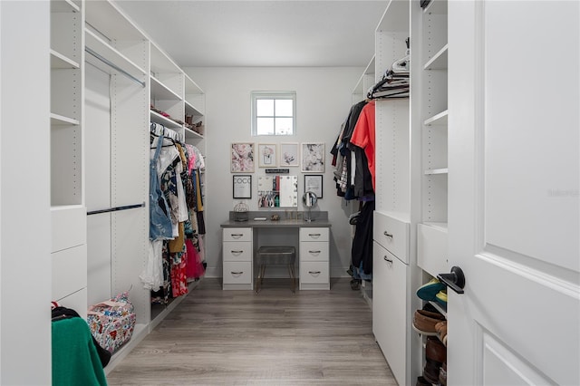 5651 Trevesta Pl, Palmetto, FL 34221 - spacious closet featuring light wood-style flooring