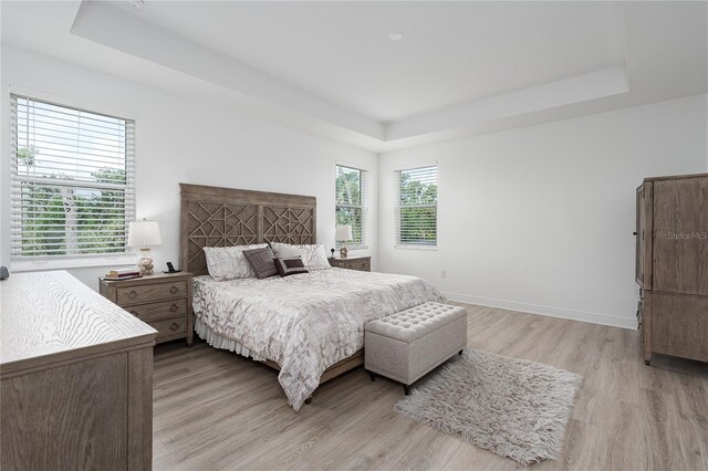 5651 Trevesta Pl, Palmetto, FL 34221 - bedroom with a tray ceiling and light wood-style flooring
