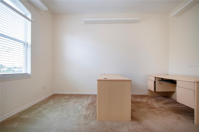 6307 Laurel Creek Trl, Ellenton, FL 34222 - unfurnished office featuring light colored carpet, healthy amount of natural light, and baseboards