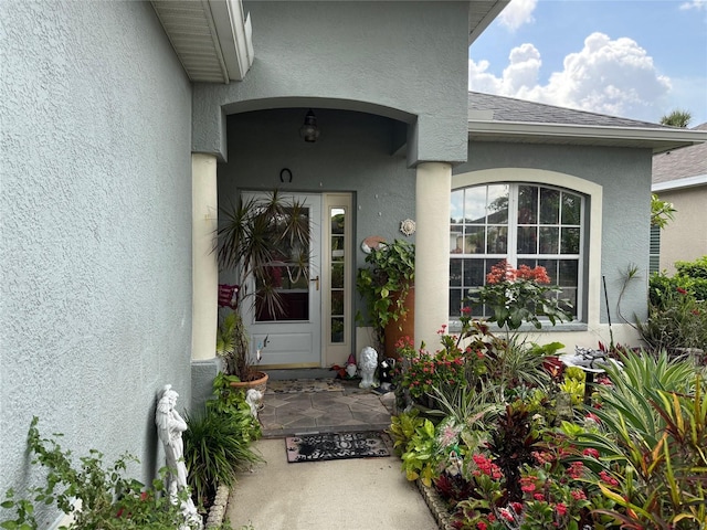 817 Tallgrass Ln, Bradenton, FL 34212 - doorway to property with a shingled roof and stucco siding
