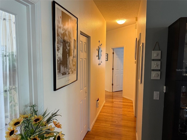 817 Tallgrass Ln, Bradenton, FL 34212 - hallway with light wood-style flooring, baseboards, and a textured ceiling
