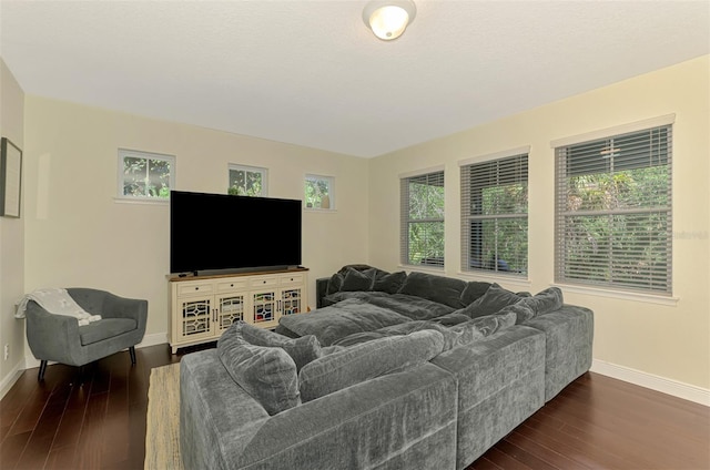 4500 Chinkapin Dr, Sarasota, FL 34232 - living room featuring baseboards, dark wood-style flooring, and healthy amount of natural light