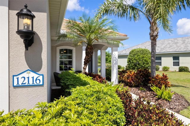 view of exterior entry featuring stucco siding