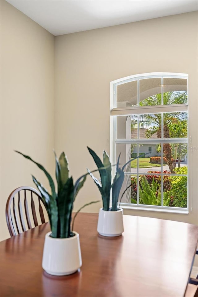 dining area view