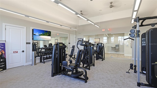 6250 Grandview Hill Ct, Bradenton, FL 34203 - gym featuring carpet floors