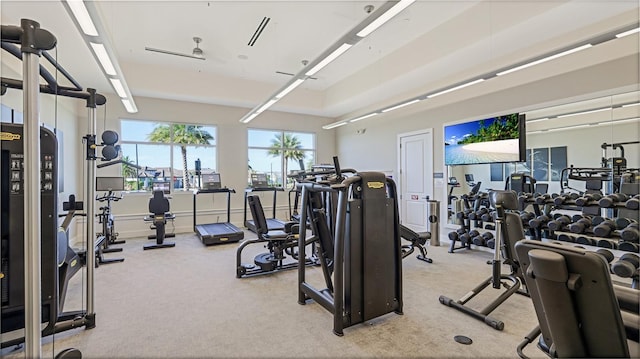 6250 Grandview Hill Ct, Bradenton, FL 34203 - workout area with carpet