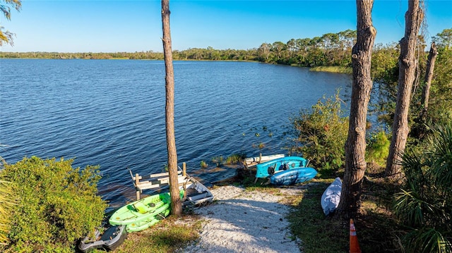 6250 Grandview Hill Ct, Bradenton, FL 34203 - water view