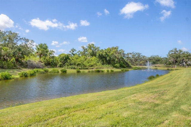 8628 Milestone Dr, Sarasota, FL 34238 - water view
