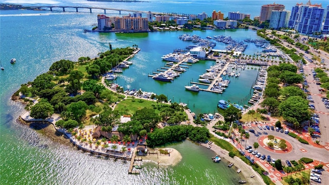 view of urban area featuring a large body of water and numerous boat docks