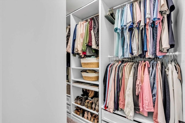 16411 62nd Gln E, Parrish, FL 34219 - view of walk in closet
