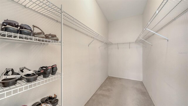 4274 Tennyson Way, Venice, FL 34293 - walk in closet with light carpet