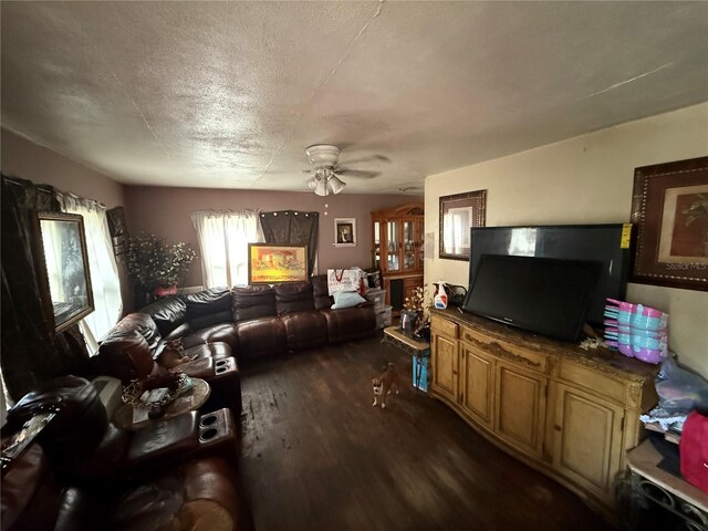 1113 23rd Ave W, Bradenton, FL 34205 - living room with dark wood-style flooring and a ceiling fan