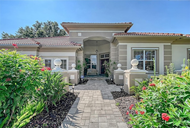 766 Shadow Bay Way, Osprey, FL 34229 - property entrance featuring a tile roof and stucco siding