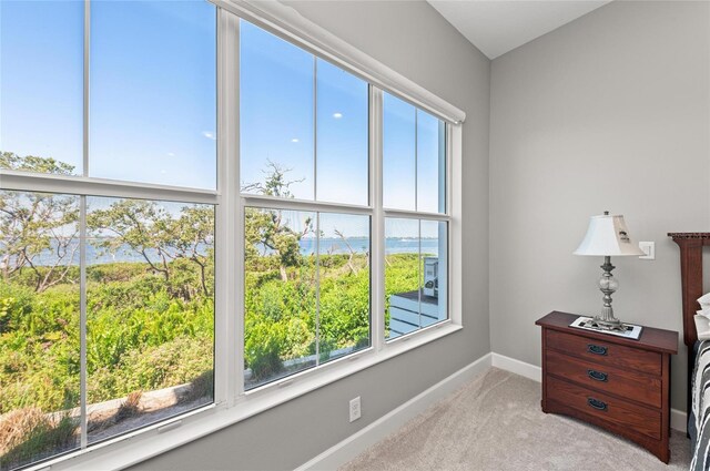 276 Saint Lucia Dr Unit 101, Bradenton, FL 34209 - photo 36