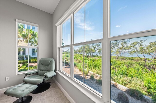 276 Saint Lucia Dr Unit 101, Bradenton, FL 34209 - photo 37