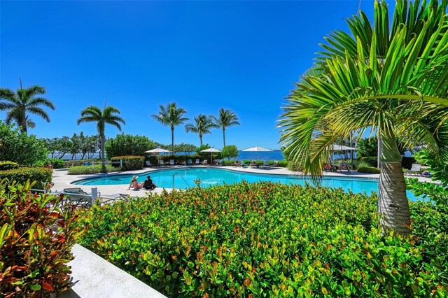 276 Saint Lucia Dr Unit 101, Bradenton, FL 34209 - photo 81