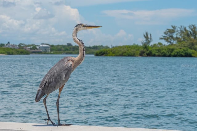 5623 Midnight Pass Rd Unit 615, Sarasota, FL 34242 - water view