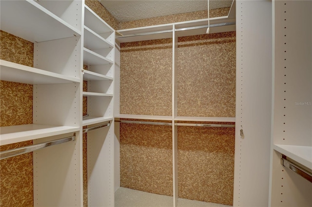 5039 Kestral Park Dr Unit 67, Sarasota, FL 34231 - view of spacious closet