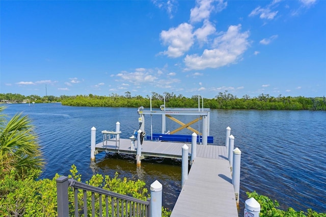 11807 Rive Isle Run, Parrish, FL 34219 - photo 52