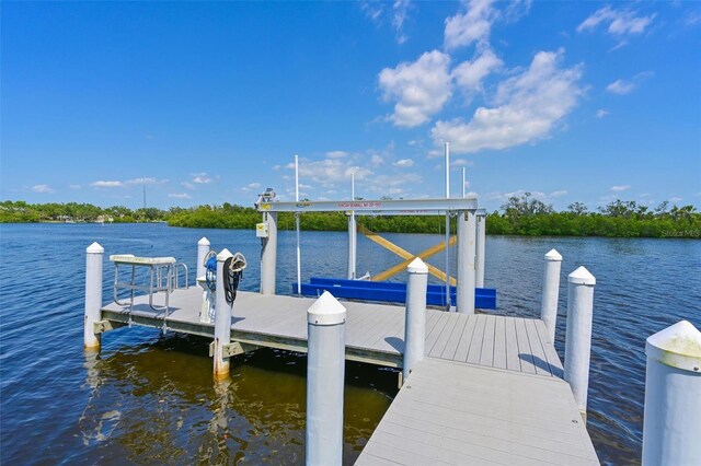 11807 Rive Isle Run, Parrish, FL 34219 - photo 53