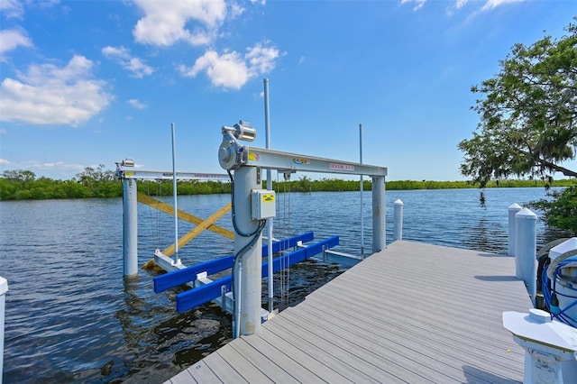 11807 Rive Isle Run, Parrish, FL 34219 - photo 55