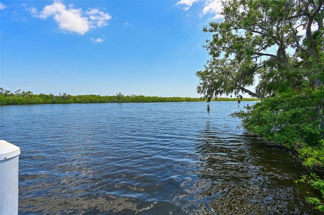 11807 Rive Isle Run, Parrish, FL 34219 - photo 56