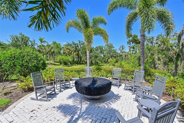 11807 Rive Isle Run, Parrish, FL 34219 - photo 64