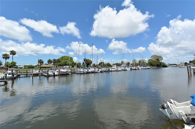 409 Bryn Mawr Is, Bradenton, FL 34207 - water view with a dock