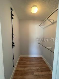 walk in closet with wood finished floors