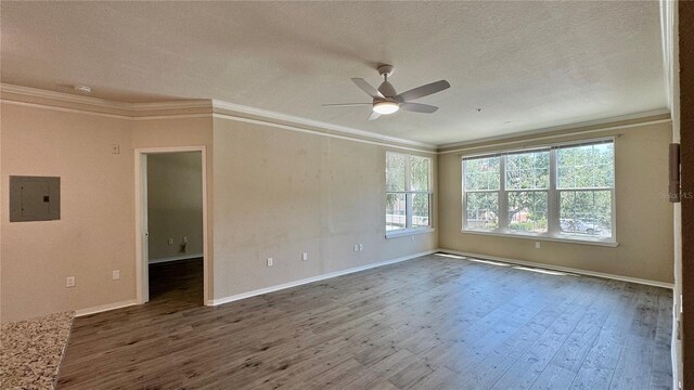 4142 Central Sarasota Pkwy Unit 1423, Sarasota, FL 34238 - spare room with electric panel, a ceiling fan, wood finished floors, crown molding, and a textured ceiling