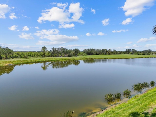 7005 River Hammock Dr Unit 203, Bradenton, FL 34212 - water view