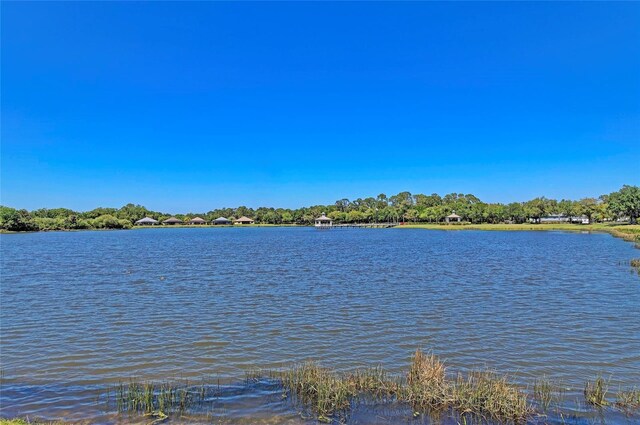 11811 Fennemore Way, Parrish, FL 34219 - water view