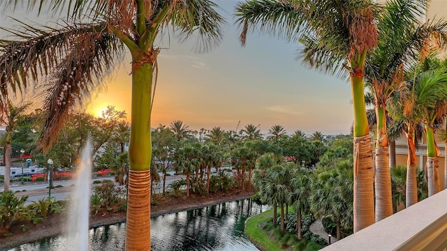800 N Tamiami Trl Unit 317, Sarasota, FL 34236 - water view