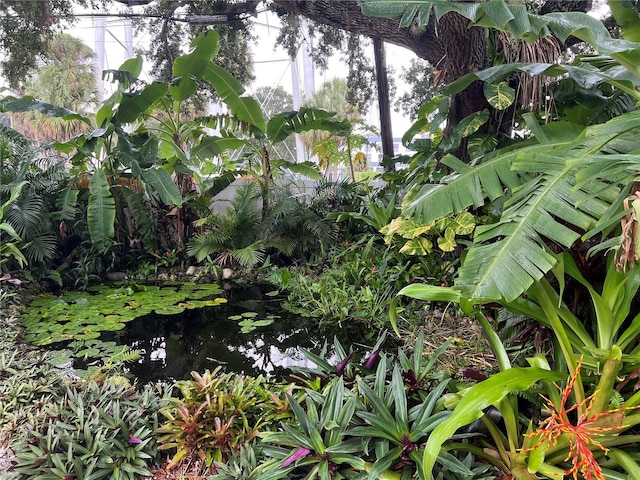 view of nature