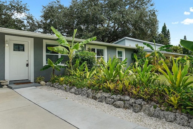 view of front of house featuring stucco siding