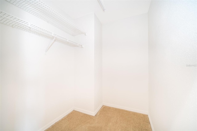 1839 Cranberry Isles Way, Apopka, FL 32712 - walk in closet with light colored carpet