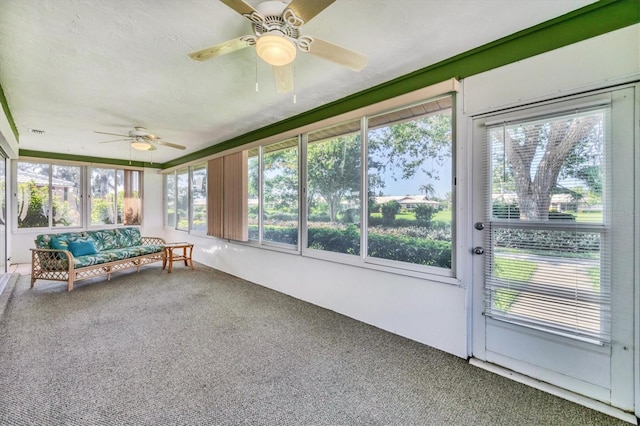 6701 12th Ave W, Bradenton, FL 34209 - unfurnished sunroom featuring ceiling fan, plenty of natural light, and carpet floors